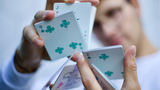 Cloud 9 (Numbered Seals) Playing Cards