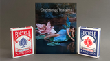 ENCHANTED INSIGHTS by Magic Entertainment Solutions