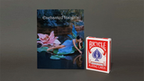 ENCHANTED INSIGHTS by Magic Entertainment Solutions