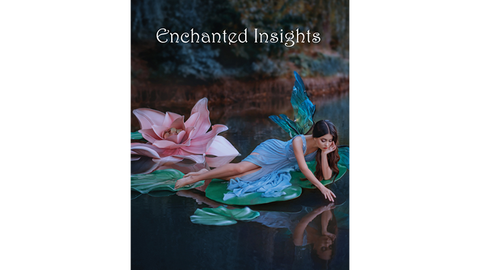 ENCHANTED INSIGHTS by Magic Entertainment Solutions