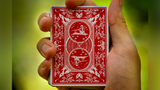 Bonfires (includes Card Magic Course) by Adam Wilber and Vulpine
