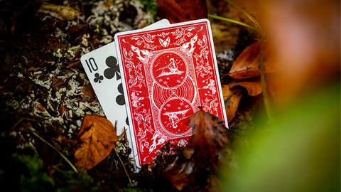 Bonfires (includes Card Magic Course) by Adam Wilber and Vulpine