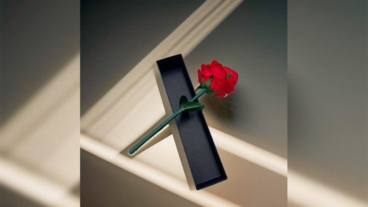 Rainbow Rose by JL Magic – The Magic Box