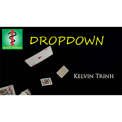 Dropdown by Kelvin Trinh & Magic Unique- Video DOWNLOAD