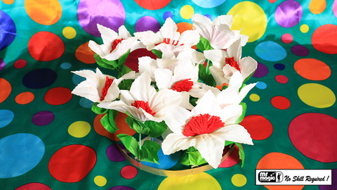 Dove Pan Botanica by Mr. Magic - Trick