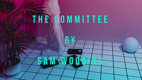 The Committee by Sam Wooding eBook DOWNLOAD