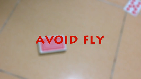 Avoid Fly by Kelvin Trinh video DOWNLOAD