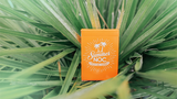 Limited Edition Summer NOC Playing Cards