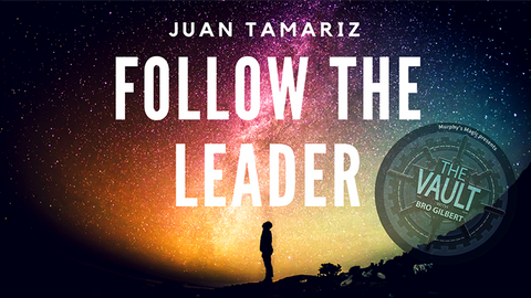 The Vault - Follow the Leader