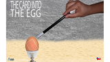 THE CARD INTO THE EGG (Gimmicks and Online Instructions) by Alan Alfredo Marchese