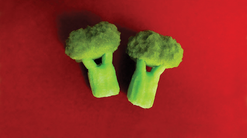 Sponge Broccoli (Set of Two) by Alexander May