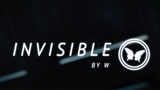 Invisible (DVD and Gimmicks) by W
