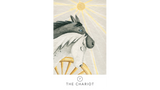 White Sage Tarot Cards