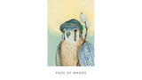 White Sage Tarot Cards