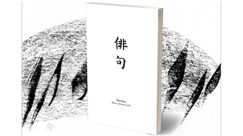 Haiku Book Test 2.0 by Vincent Hedan
