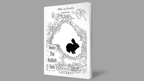 Down The Rabbit Hole by Reese Goodley