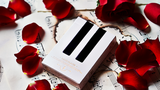 Piano Player Playing Cards By Bocopo