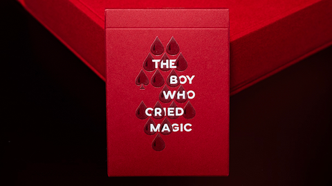 The Boy Who Cried Magic Limited Edition by Andi Gladwin