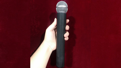 MIC TO FLOWER by Bond Lee