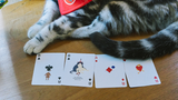 Meow Star Playing Cards by Bocopo