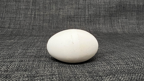 Multiplying eggs (white) by Uday