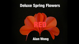Deluxe Spring Flowers by Alan Wong