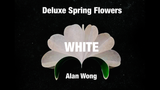 Deluxe Spring Flowers by Alan Wong