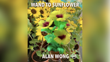WAND TO SUNFLOWER LARGE by Alan Wong