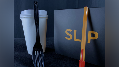 Slip (Gimmicks and Online Instruction) by Doosung Hwang