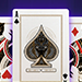 Black Panther Playing Cards by theory11