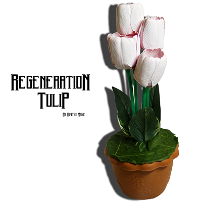 Regeneration Tulip by Himitsu Magic - Trick